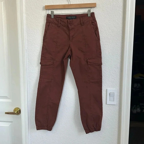 Sanctuary Rebel pants Rich Clay - Picture 2 of 7